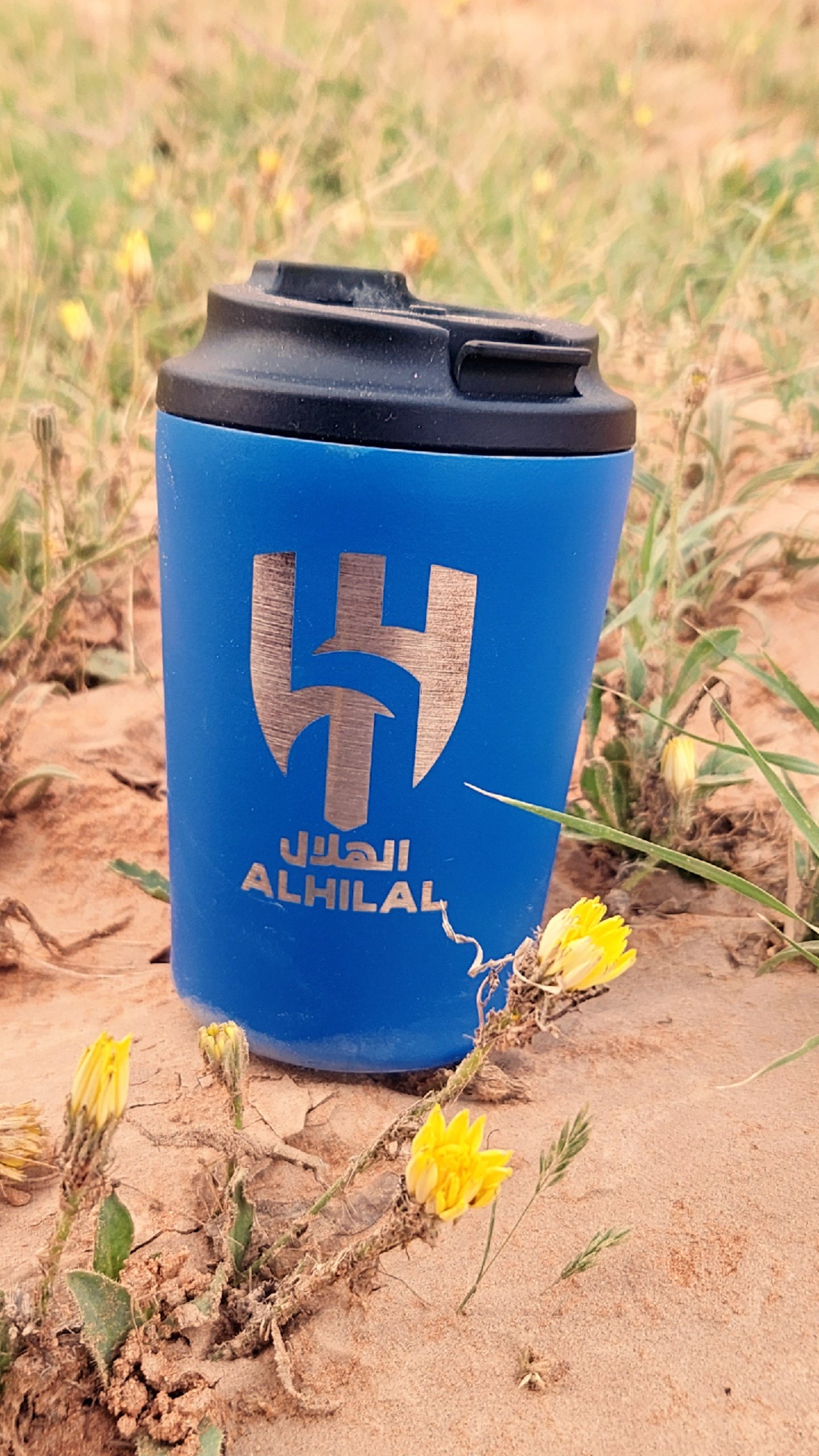 ميمو